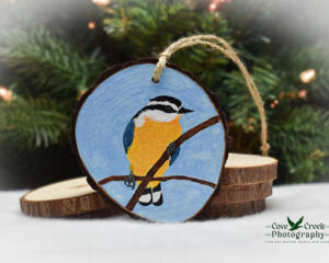 A hand-painted red-breasted nuthatch with sky blue background on a wood slice ornament at Cove Creek Photography.